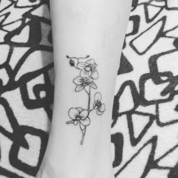 Фото с портфолио Morsus Risus