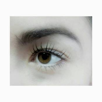 Fox beauty, Черкассы Фото - 6