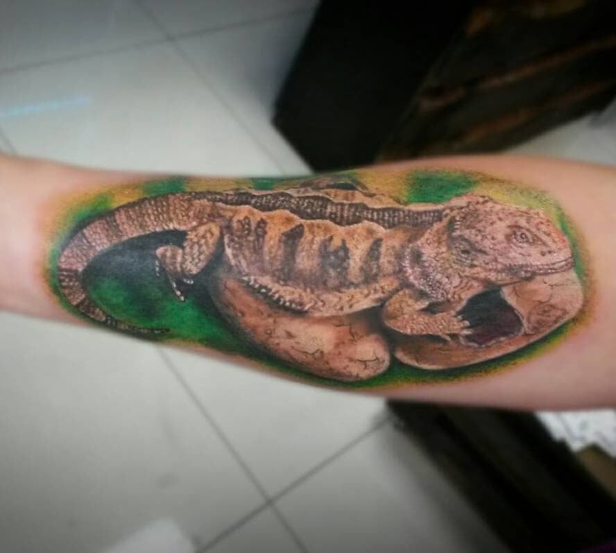 Мужские на предплечье цветные, фото - Тату салон Bear's Lair Tattoo Studio