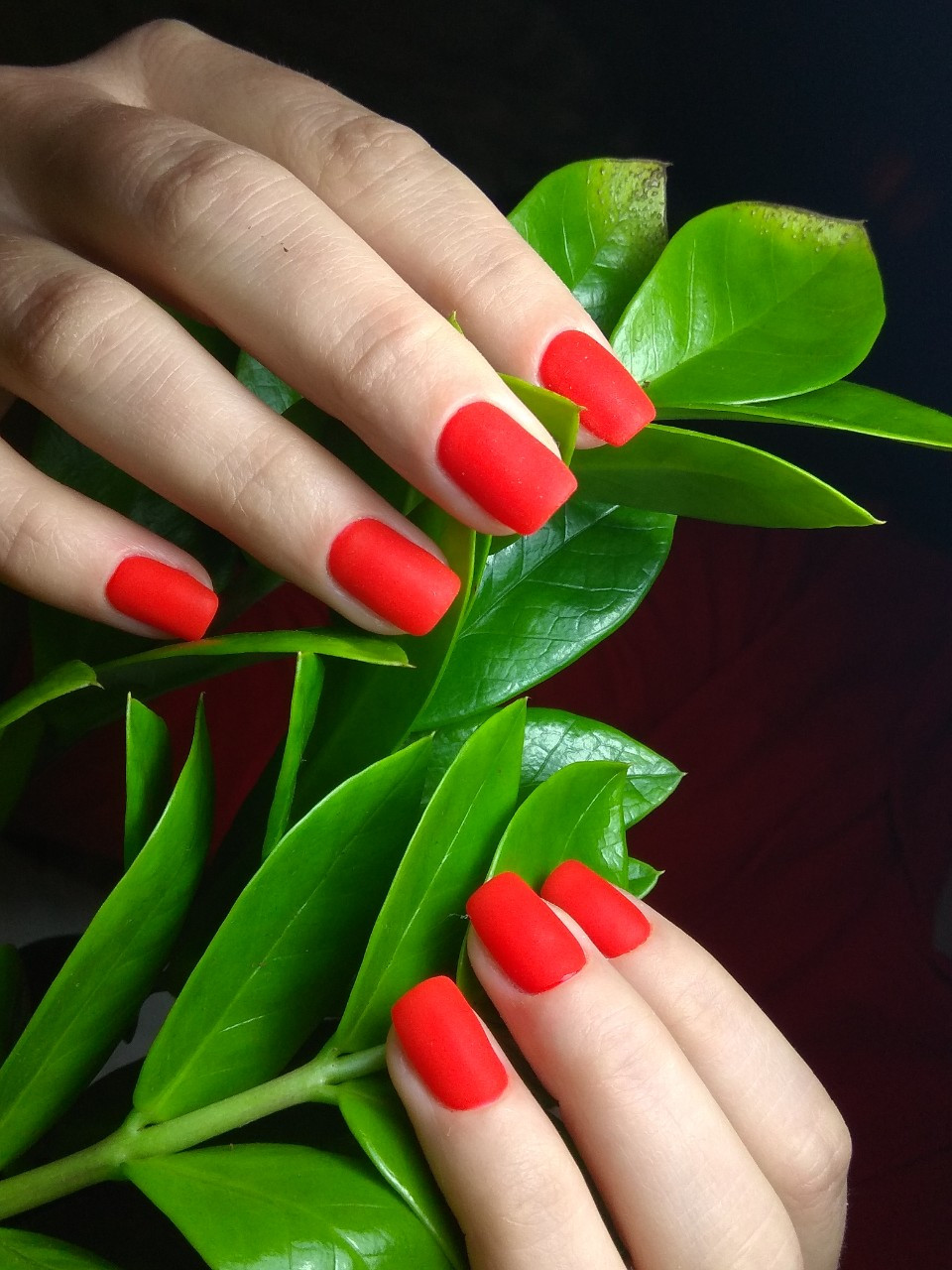 Красный маникюр на короткие ногти матовый, фото - Ногтевая студия A-Style