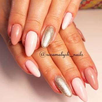 Фото с портфолио Роза 