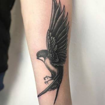 VeAn, Чернигов Фото - 5