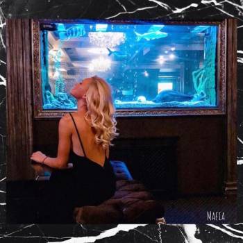 Mafia, Чернівці Фото - 18