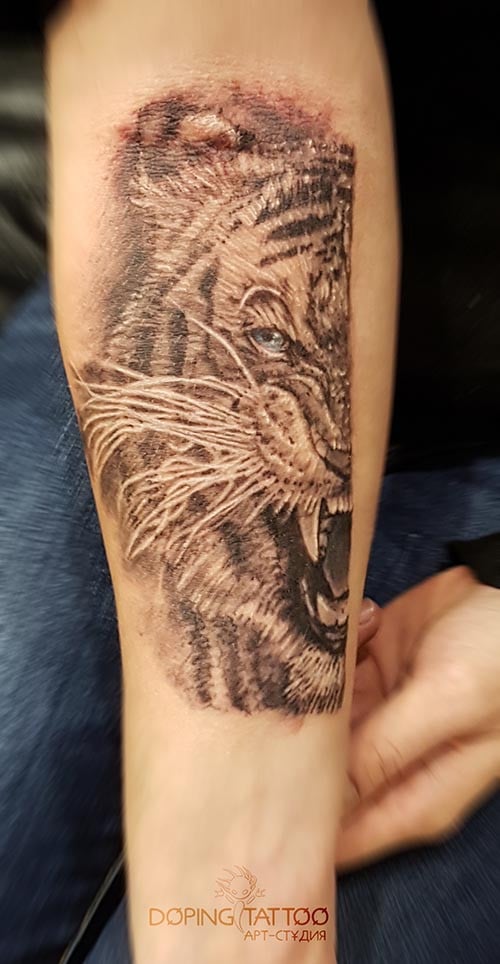 Tattoo tiger, tattoo lviv, тату львів, тату львов, фото - Тату салон DopingТattoo