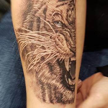 Тату tattoo tiger, tattoo lviv, тату львів, тату львов, фото -  