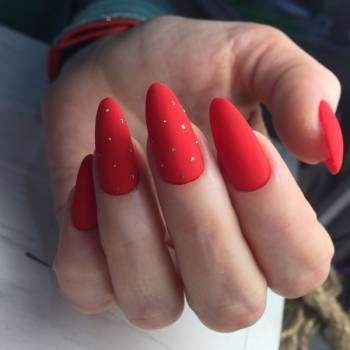 Фото с портфолио Bee Royal