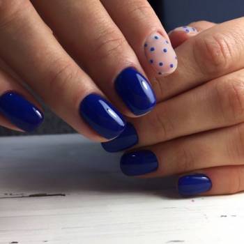 Фото с портфолио Bee Royal