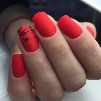 Фото с портфолио Bee Royal