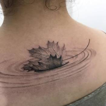 Фото с портфолио Сергей Тимошин 