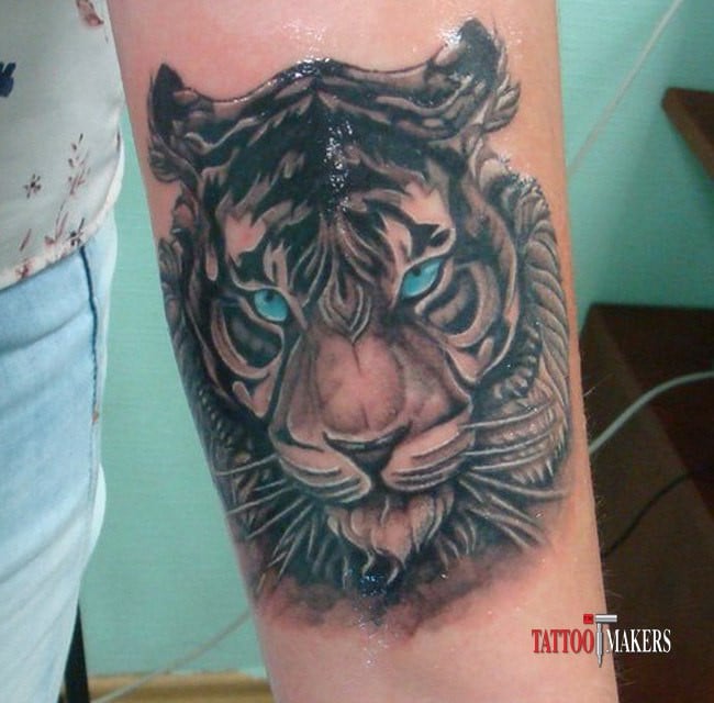 Тигр, фото - Тату салон Tattoo Makers
