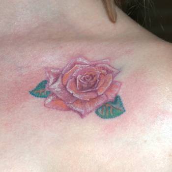 Фото с портфолио Станислав Краснов 