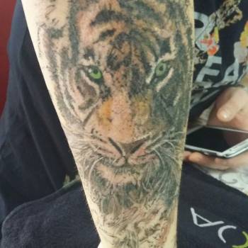 Фото с портфолио Станислав Краснов 