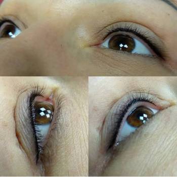 Фото с портфолио Гризли