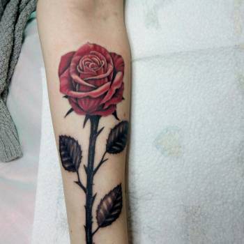 Шиза Tattoo, Київ Фото - 9