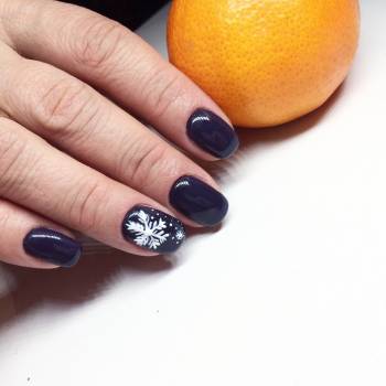 GOLDFISH ka, Київ Фото - 33