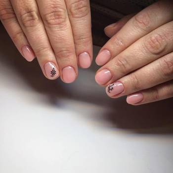 GOLDFISH ka, Київ Фото - 34