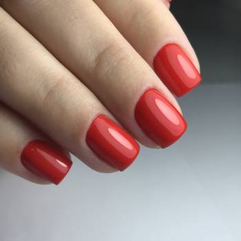 GOLDFISH ka, Київ Фото - 41