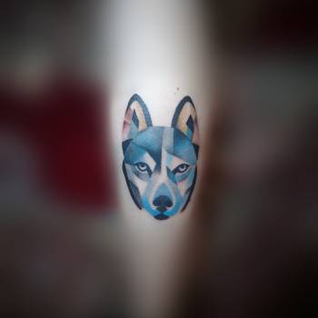 Віктор Ігнатенко, Кривий Ріг Фото - 12