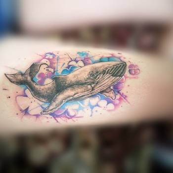 Віктор Ігнатенко, Кривий Ріг Фото - 14