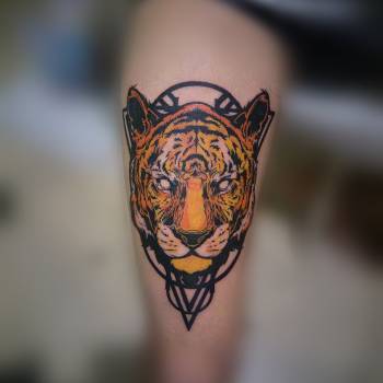 Віктор Ігнатенко, Кривий Ріг Фото - 20