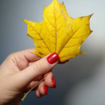 Фото с портфолио Анастасия Чебан 