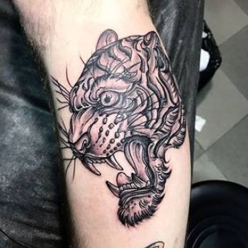 Фото с портфолио Олександр Самчук 