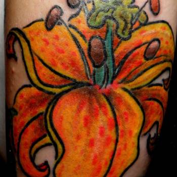 Фото с портфолио Моби Дик