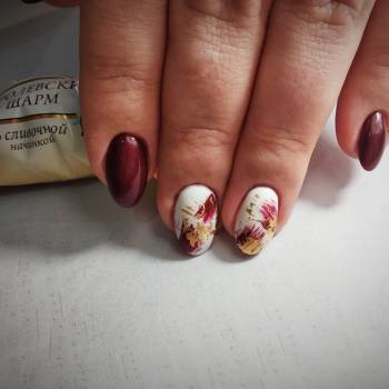 Фото с портфолио Светлана Шереметьева