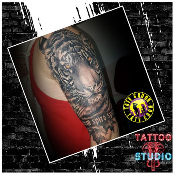 Художественная татуировка и пирсинг
                    Тату салон Слон Киев