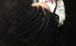 Натуральные дреды (natural dreads) Перукар Маргарита Крамарева Київ