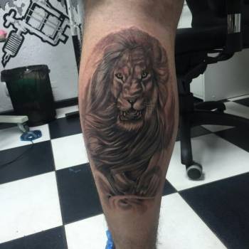 Гризли, Харьков Фото - 91