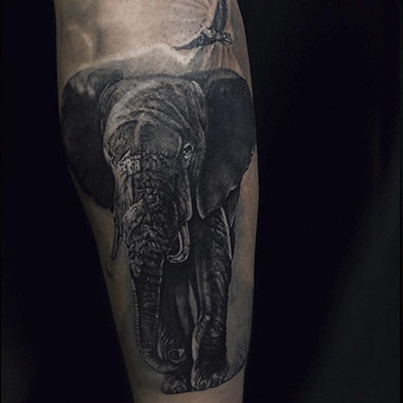 Мужские на руке черно-белые, фото -  ScreamSoul Tattoo