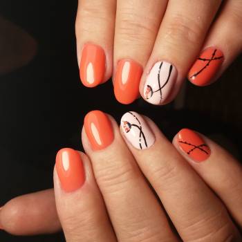 Фото с портфолио Ольга Асауленко