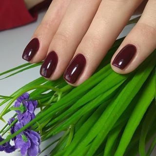 Бордовый маникюр однотонный (монохромный) темный, фото - Мастер маникюра Елена Большакова