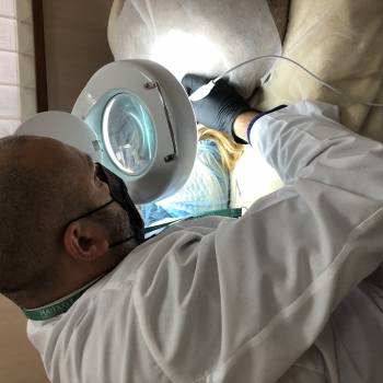 Фото из портфолио косметолога Оксана Вирская (Запорожье)