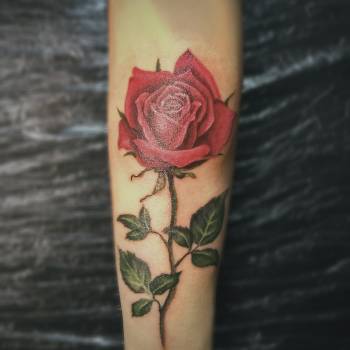 Фото с портфолио Владимир Суляев 