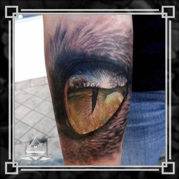 Фото с портфолио Third Eye Tattoo