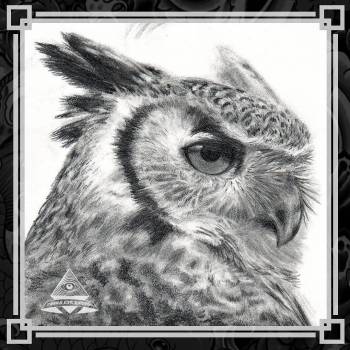 Фото с портфолио Third Eye Tattoo