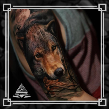 Тату вовк кольорові реалізм, фото - Тату салон Third Eye Tattoo