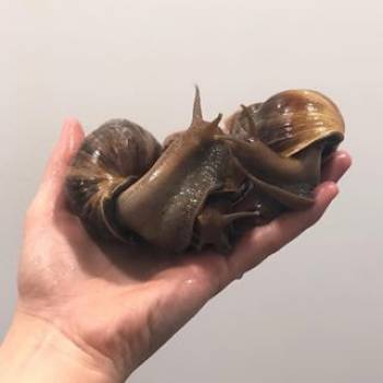 Фото с портфолио Марина Капинус 