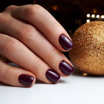 PIED‑DE‑POULE, Киев Фото - 10