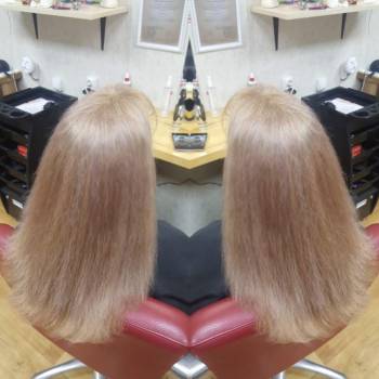 Red Fox, Київ Фото - 24