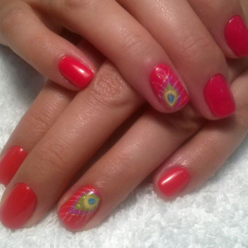 Фото с портфолио Олимп