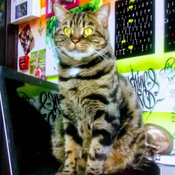 Слід, Львів Фото - 8