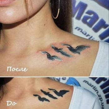 птица, тату птицы