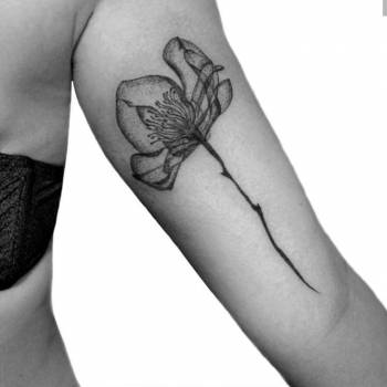 Алла Пинчук, Запорожье Фото - 2