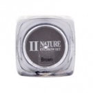 Пигмент PCD Brown (для микроблейдинга)  