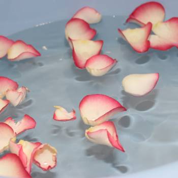 Ванночка для педикюра