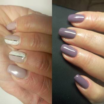 Фото с портфолио Terraprofi