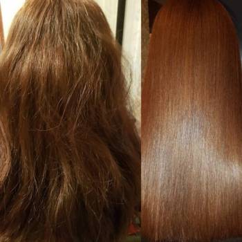 Фото с портфолио Terraprofi